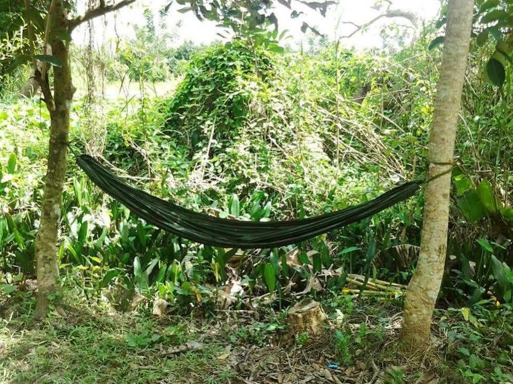 Green Village Homestay เกิ่นเทอ ภายนอก รูปภาพ