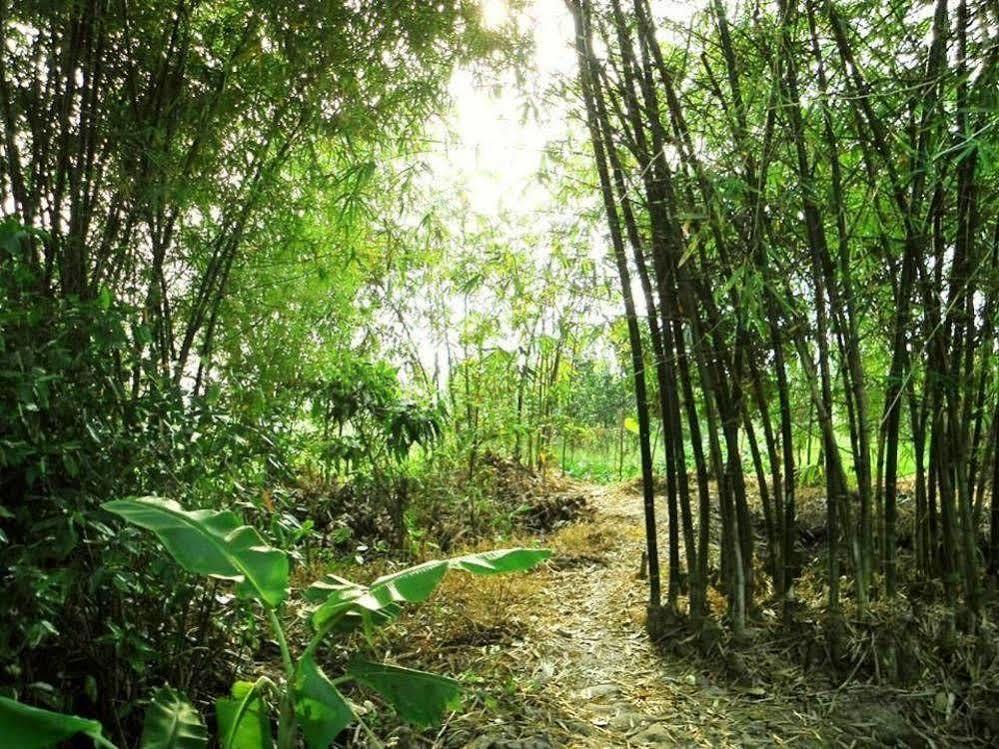 Green Village Homestay เกิ่นเทอ ภายนอก รูปภาพ
