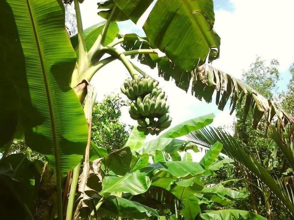 Green Village Homestay เกิ่นเทอ ภายนอก รูปภาพ